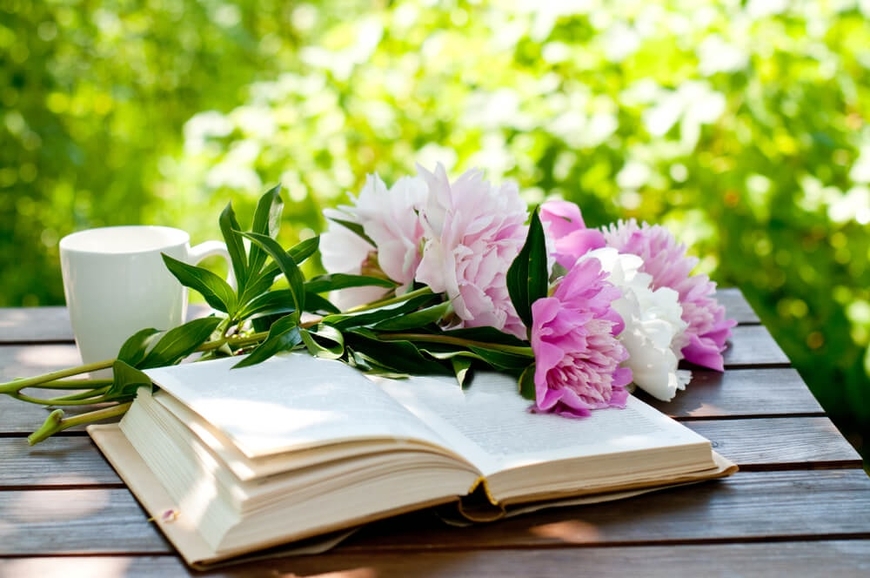 Находки июля от GoodStart